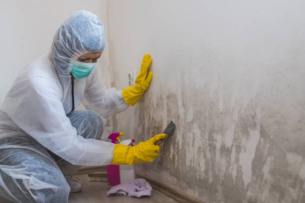 Best Crawl Space Mold Removal  in Scottdale, PA