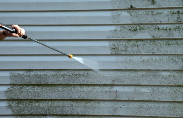 Best Attic Mold Removal  in Scottdale, PA
