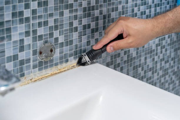Best Certified Mold Removal  in Scottdale, PA